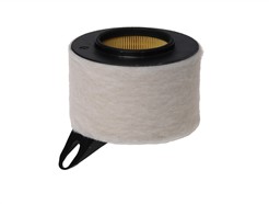 HENGST FILTER E620L