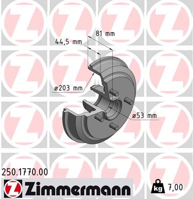 ZIMMERMANN 250.1770.00 EAN: 4250238707004.