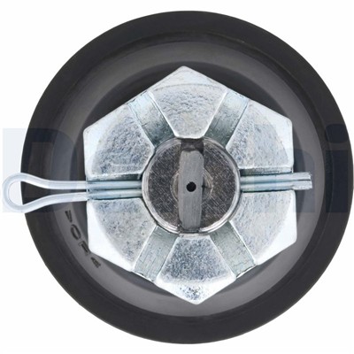 DELPHI TC2061 EAN: 5012759288566.