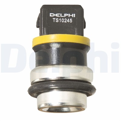 DELPHI TS10245-12B1 EAN: 5012759455470.