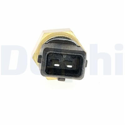 DELPHI TS10466 EAN: 5012759966884.