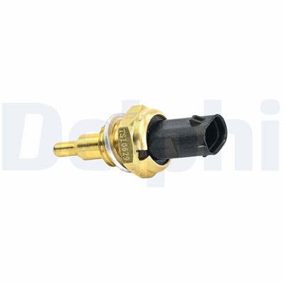 DELPHI TS10629-12B1 EAN: 5012759632260.