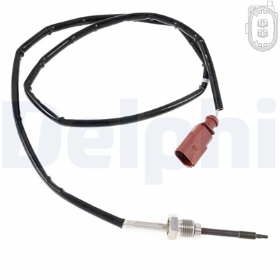 DELPHI TS30316-12B1 EAN: 5012759598689.