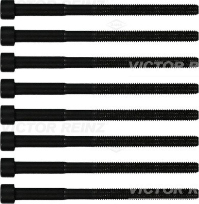 VICTOR REINZ 14-12060-01 EAN: 4026635137658.
