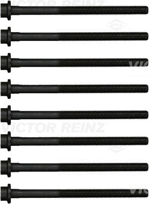VICTOR REINZ 14-17842-01 EAN: 4026635202417.