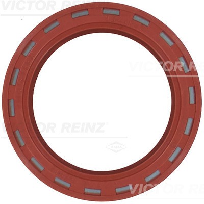 VICTOR REINZ 81-24909-10 EAN: 4026634102091.