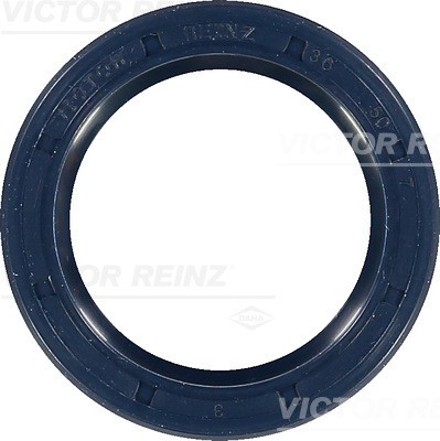 VICTOR REINZ 81-26244-00 EAN: 4026634200704.