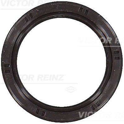 VICTOR REINZ 81-53582-00 EAN: 4026634391365.