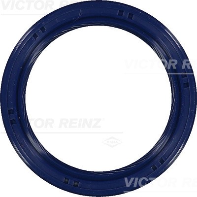 VICTOR REINZ 81-53699-00 EAN: 4026634412107.