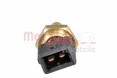 METZGER 0905302 EAN: 4250032501389.