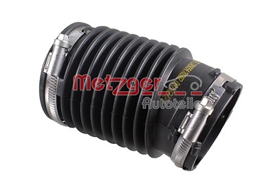 METZGER 2389054 EAN: 4062101225061.