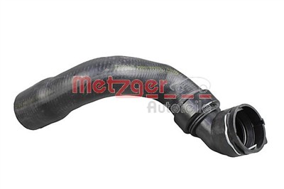 METZGER 2420268