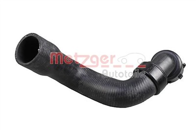METZGER 2420268