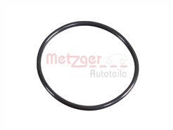 METZGER 2430058
