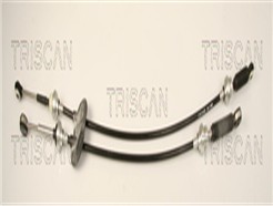 TRISCAN 8140 10712