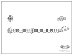 CORTECO 19032856