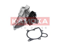 KAMOKA T0060