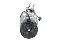 BV PSH 090.845.009.876