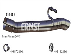ERNST 315494