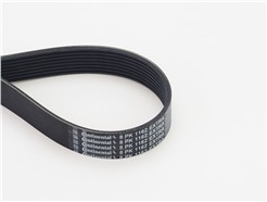 CONTITECH 8PK1162 EXTRA