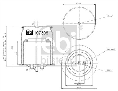 FEBI BILSTEIN 107305 EAN: 4054224073056.