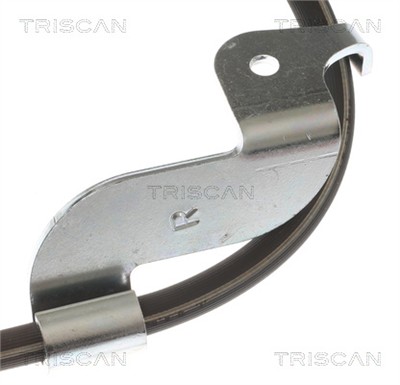 TRISCAN 8150 81008 EAN: 5714261021678.