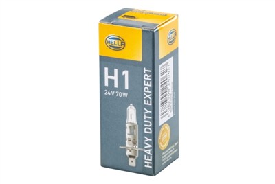 HELLA 8GH 002 089-491 Číslo výrobce: H1 DP. EAN: 4082300240627.