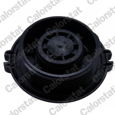 CALORSTAT by Vernet RC0162 EAN: 3531650035984.