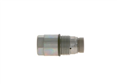 BOSCH F 00N 010 001 EAN: 4047024745483.