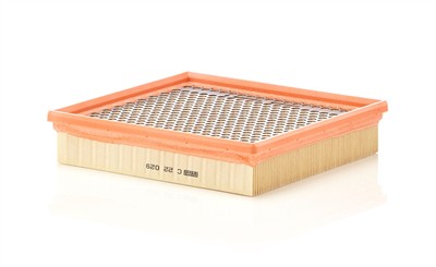 MANN-FILTER C 22 029 EAN: 4011558060022.