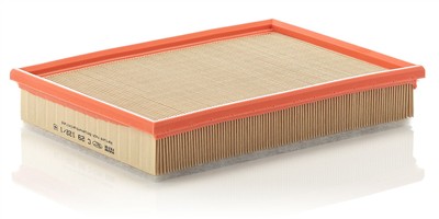 MANN-FILTER C 29 122/1 EAN: 4011558154509.