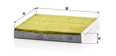 MANN-FILTER FP 21 003 EAN: 4011558066680.