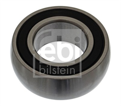 FEBI BILSTEIN 21007 EAN: 4027816210078.