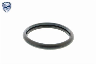 VEMO V25-99-1705 EAN: 4046001455865.