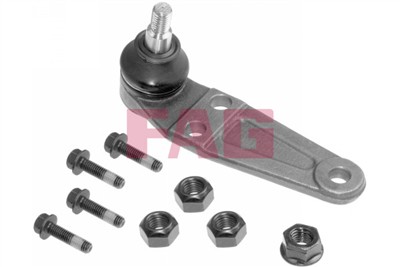 FAG 825 0215 10 EAN: 4014870418793.