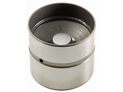 INA 420 0255 10 EAN: 4005108967176.