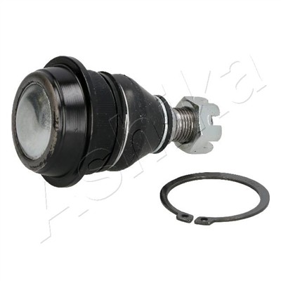 ASHIKA 73-05-514 EAN: 8033001392807.