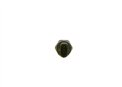 BOSCH 0 281 006 199 Číslo výrobce: RDS4.22 M18X1,5; 2400BAR. EAN: 4047025499453.