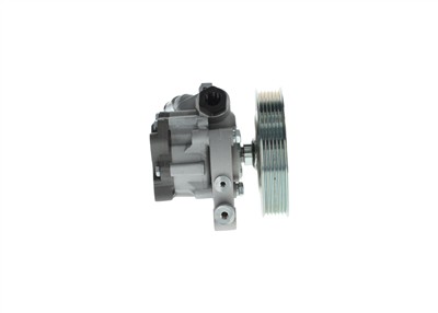 BOSCH K S01 000 613 EAN: 4047025466073.