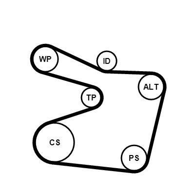 CONTITECH 6PK1555WP1 Číslo výrobce: 6PK1555. EAN: 4010858999001.