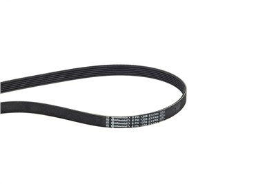 CONTITECH 6PK1208 EXTRA EAN: 4010858994242.