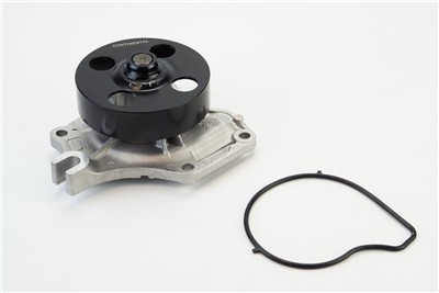 CONTITECH WPS3165 EAN: 4010858995836.