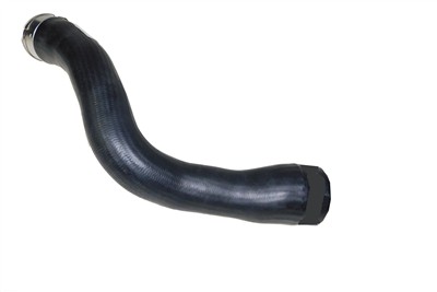 AUTOMEGA 160094610 EAN: 4053184354489.