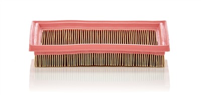 MANN-FILTER C 2244 EAN: 4011558359904.