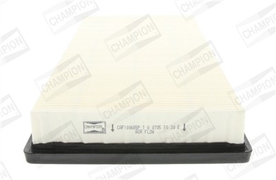 CHAMPION CAF100685P Číslo výrobce: CAF100685P. EAN: 4044197758302.
