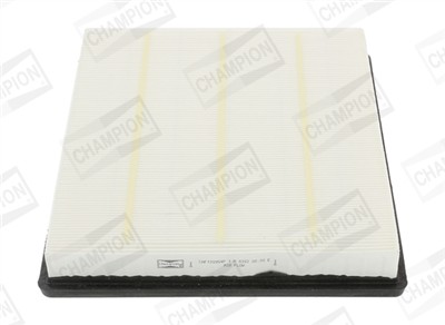 CHAMPION CAF100954P Číslo výrobce: CAF100954P. EAN: 4044197798988.