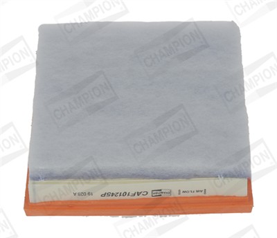 CHAMPION CAF101245P EAN: 4060426245535.