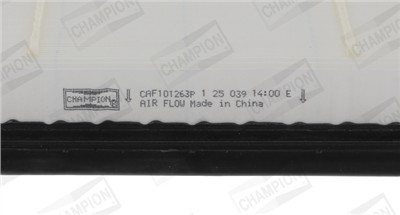 CHAMPION CAF101263P EAN: 4060426552190.