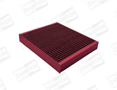 CHAMPION CCF0134B EAN: 4060426386085.