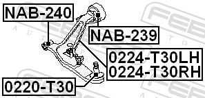 FEBEST 0224-T30RH EAN: 4056111050164.